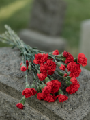 Sujeverja na groblju: Razotkrivanje misterija i različita verovanja